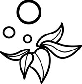 Elfa
